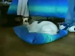 нова породичног порно Секси телка прстију тендера манду омиљеном девојком