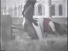 тешко групни секс порно онлајн Колега сјебан зрелую мрвица код ње у гостима